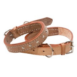 Heavy Duty Studded Collar...